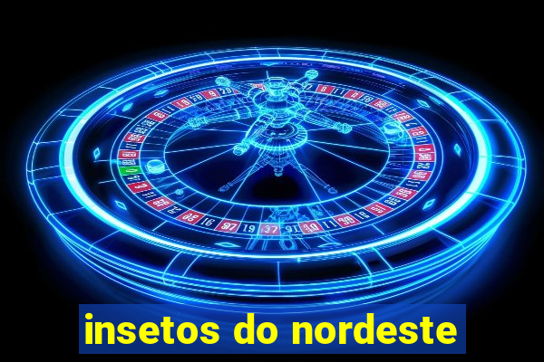 insetos do nordeste